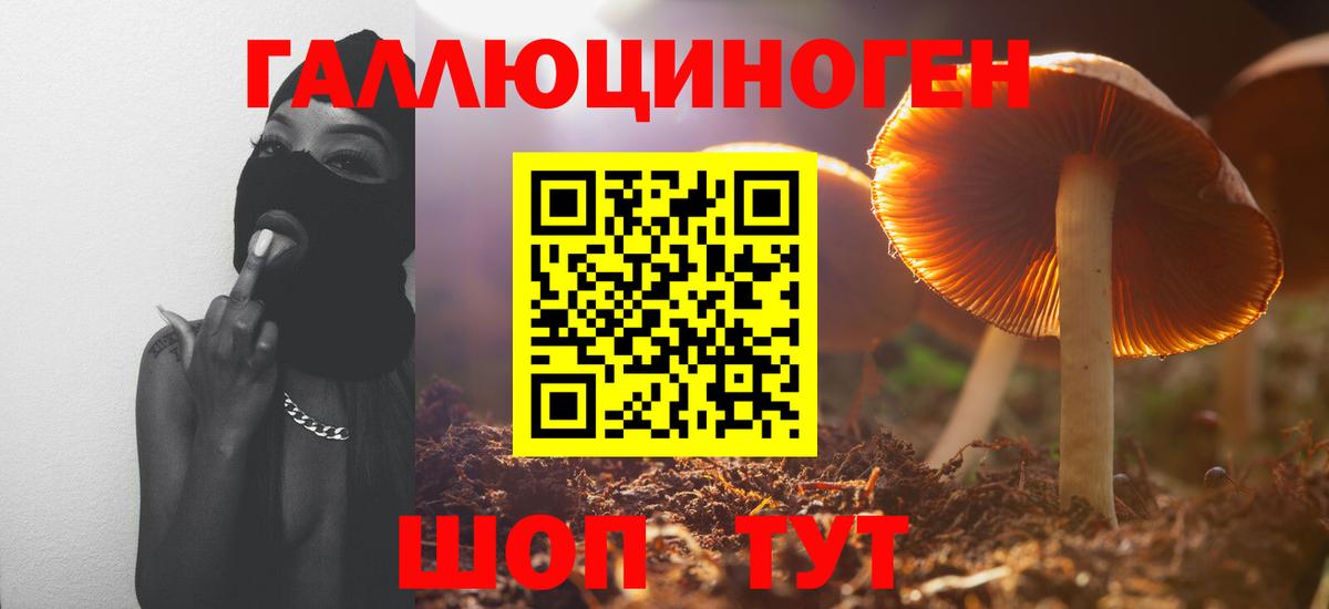 Химки  Псилоцибиновые грибы мицелий  Вход с VPN 